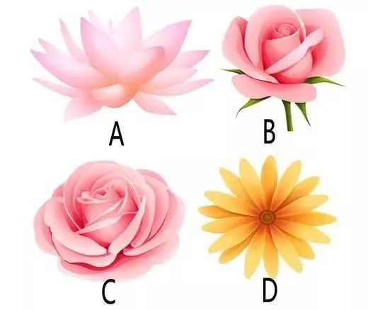 花语鉴心 从你选的鲜花，洞察你的可爱之处