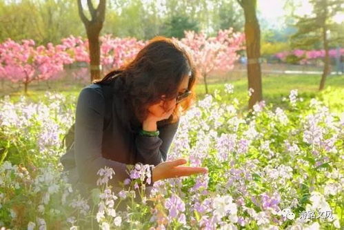 每个人心中都有一朵圣洁的花